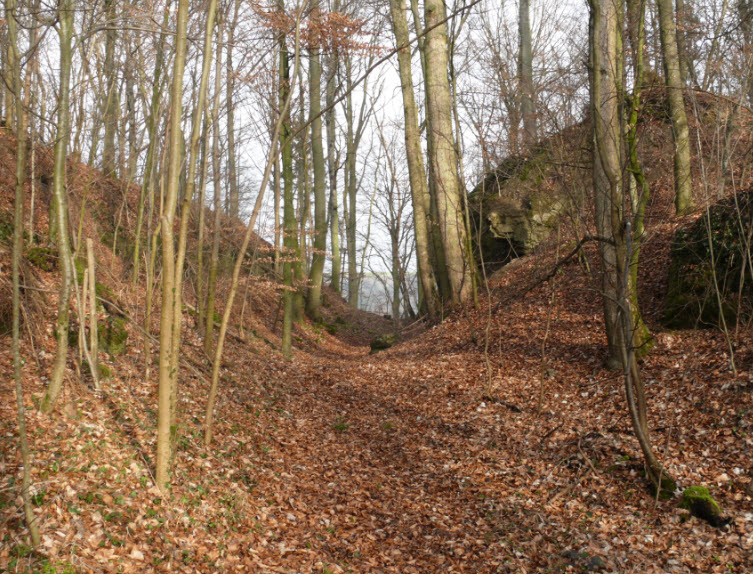 Schlossruine Bielriet, Wolpertshausen, Germany, Germany